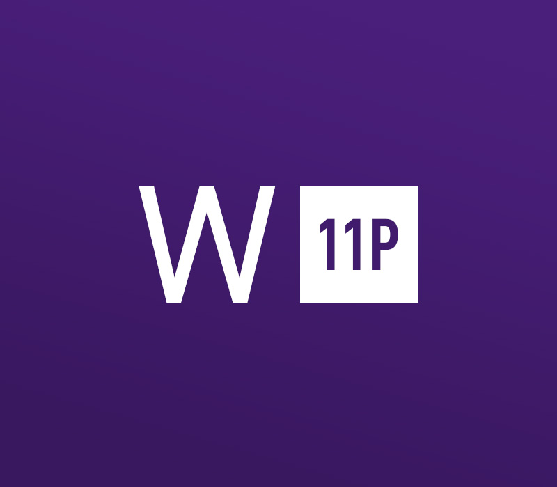 Windows 11 Professional OEM Key